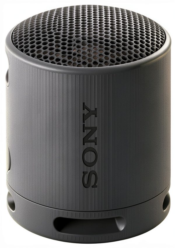 Sony SRS-XB100 Wireless Speaker IP67 Waterproof 16 Hours-1