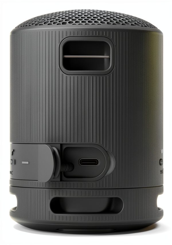 Sony SRS-XB100 Wireless Speaker IP67 Waterproof 16 Hours-3